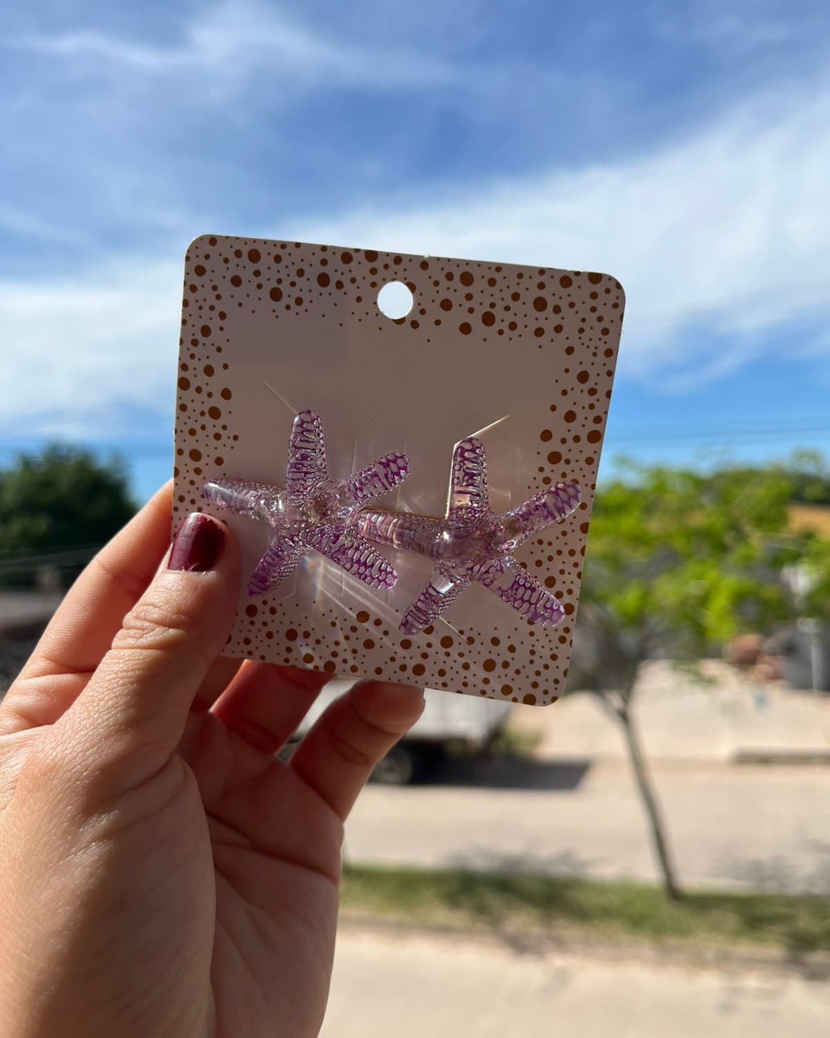 Pinza mini p/Cabello ESTRELLAS D MAR⭐️