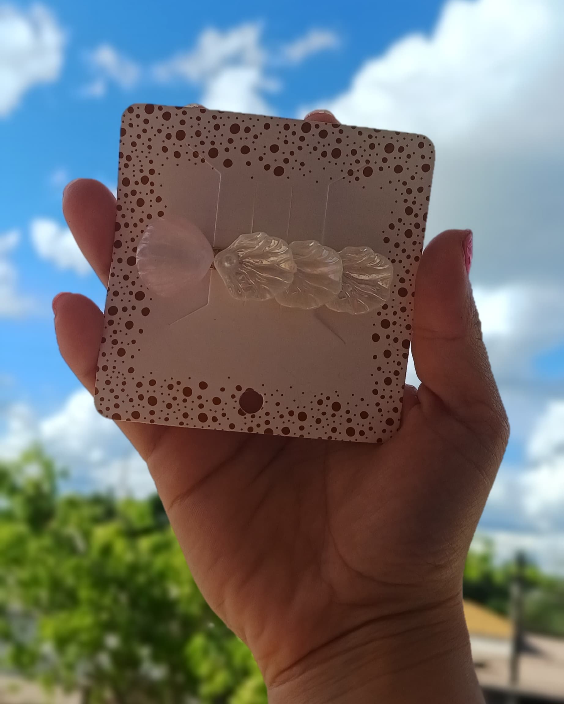 Pinza mini Ostras verano✨️